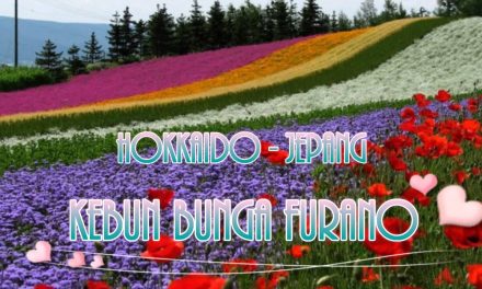 Kebun Bunga Hokkaido: Harmoni Warna Dan Lanskap Alam