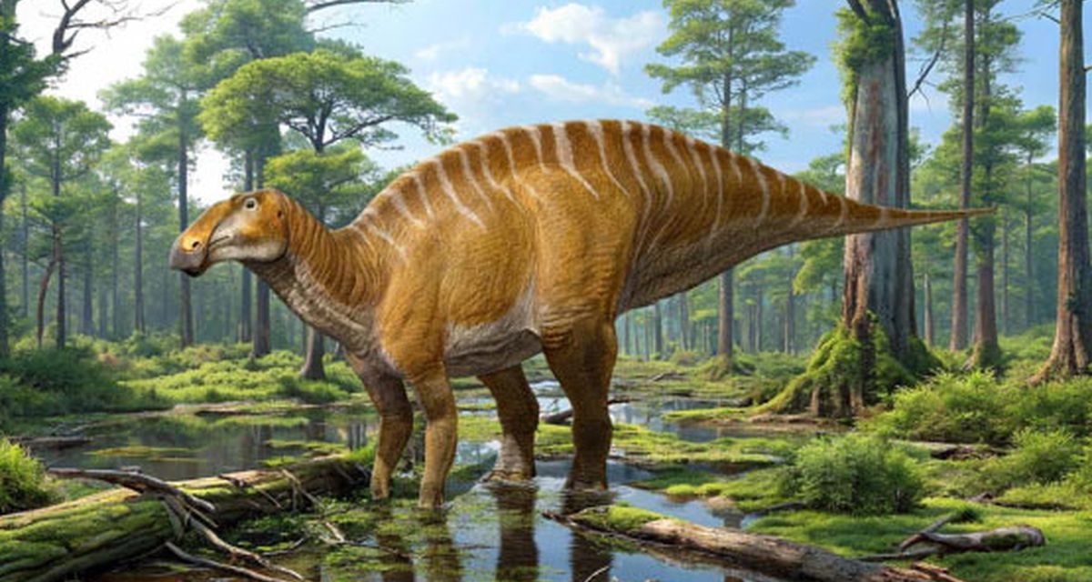Ilmuwan Temukan Dinosaurus Purba Mirip Sapi Di Amerika Serikat