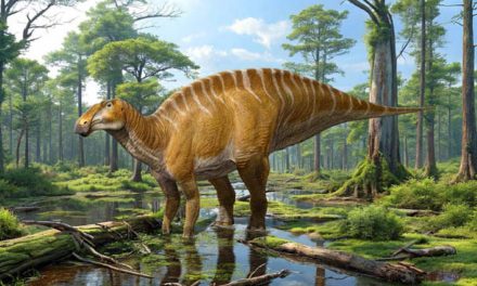 Ilmuwan Temukan Dinosaurus Purba Mirip Sapi Di Amerika Serikat