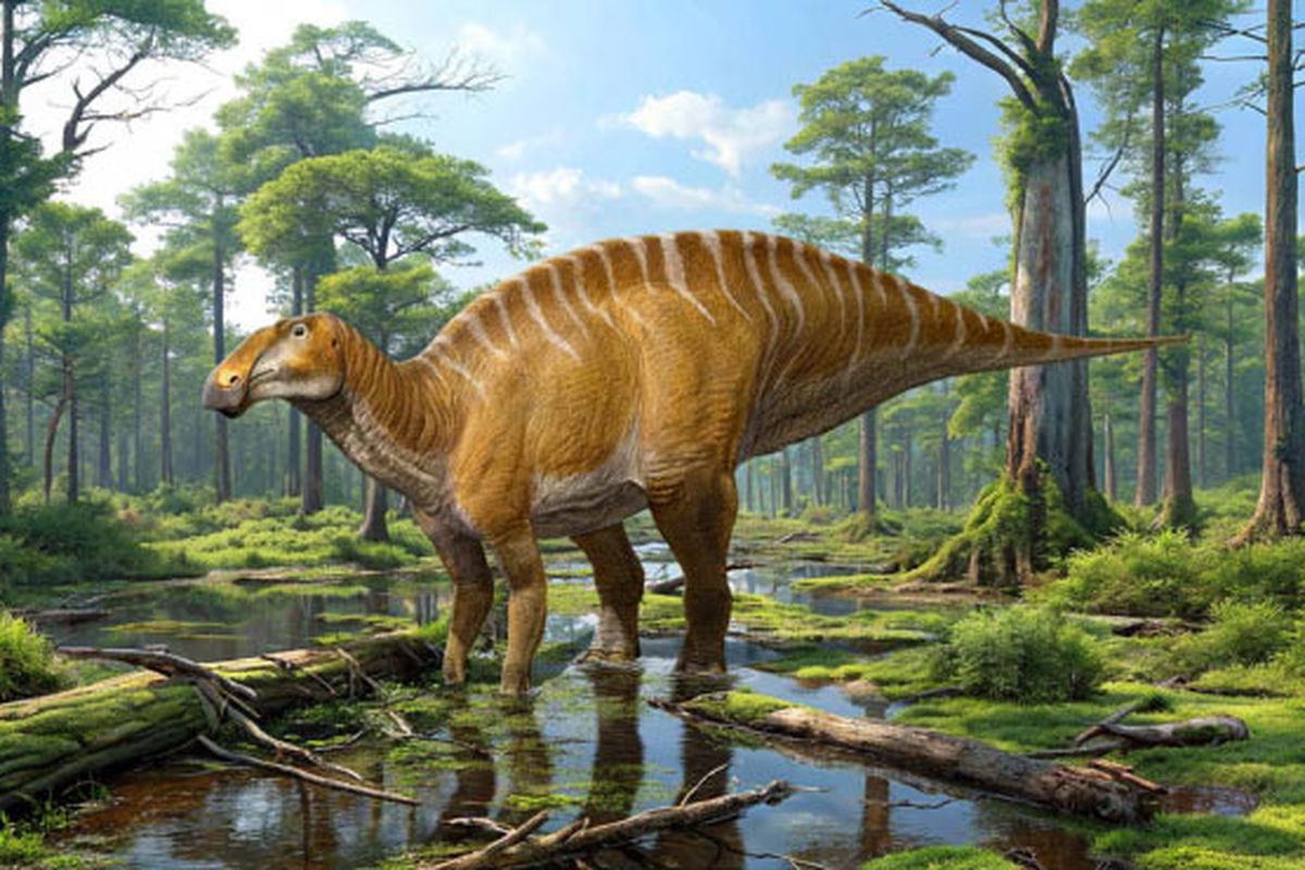 Dinosaurus berparuh bebek mirip sapi purba periode Cretaceous