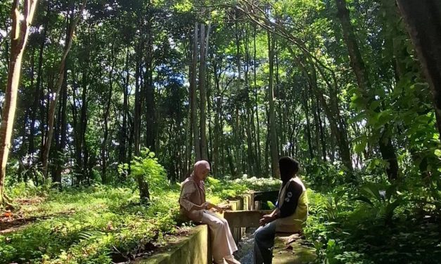Hutan Kota Rejang Lebong Disiapkan Jadi Destinasi Wisata Favorit