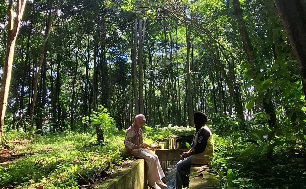 Wisata hutan kota Rejang Lebong sebagai destinasi rekreasi alam