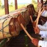 10 Alat Musik Tradisional Sumatera Utara sebagai Warisan Budaya
