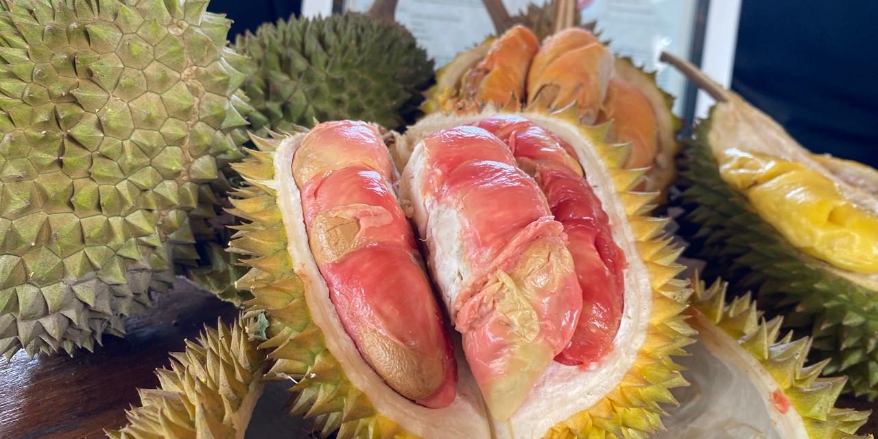 Resmi, Durian Merah Banyuwangi Raih Status Indikasi Geografis