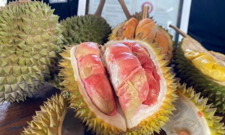 Resmi, Durian Merah Banyuwangi Raih Status Indikasi Geografis