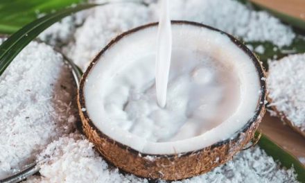 Ini Batas Aman Konsumsi Santan Agar Tetap Sehat