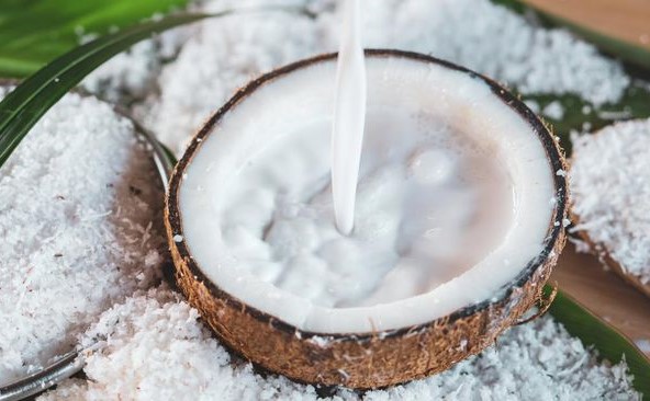 Ini Batas Aman Konsumsi Santan Agar Tetap Sehat