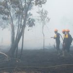 Kebakaran Lahan Merbau Pelalawan Riau Berhasil Dikendalikan