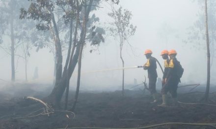 Kebakaran Lahan Merbau Pelalawan Riau Berhasil Dikendalikan