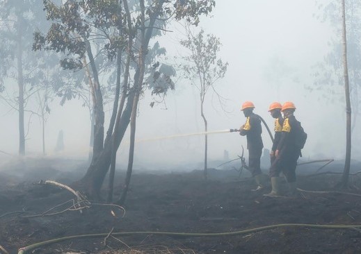 Kebakaran Lahan Merbau Pelalawan Riau Berhasil Dikendalikan