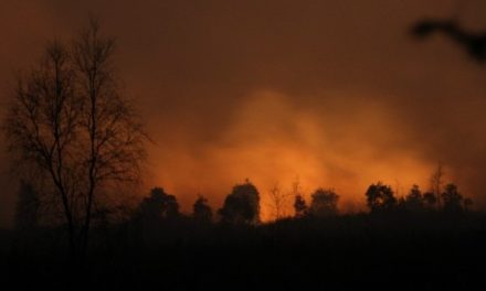 BMKG Waspadai Karhutla di Riau-Sumsel Saat Kemarau 2026