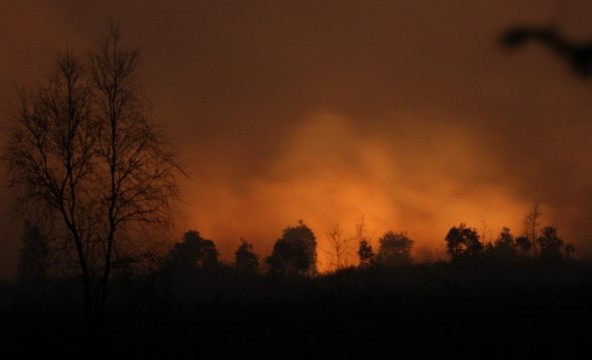 BMKG Waspadai Karhutla di Riau-Sumsel Saat Kemarau 2026