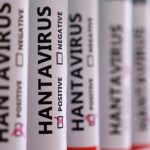 Hantavirus Sebabkan Kepanikan, Ini Fakta Soal Vaksinnya