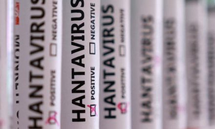 Hantavirus Sebabkan Kepanikan, Ini Fakta Soal Vaksinnya
