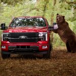 Uji Sistem Keamanan Ford F-150 Platinum Simulasi Beruang