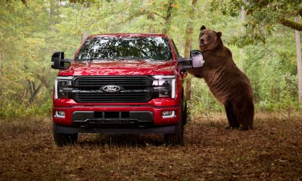 Uji Sistem Keamanan Ford F-150 Platinum Simulasi Beruang