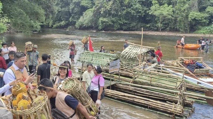 Tradisi Maonjuan Sorah Kembali Hidup, Warisan Budaya Dayak Lamandau Satukan Warga Lewat Sungai Delang