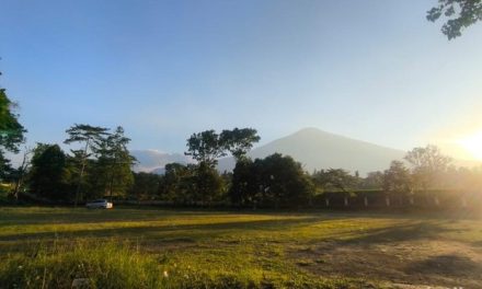 Open Space Gallery Kuningan, Surga Hijau yang Wajib Dikunjungi