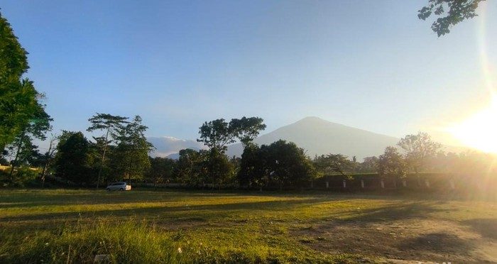 Open Space Gallery Kuningan, Surga Hijau yang Wajib Dikunjungi