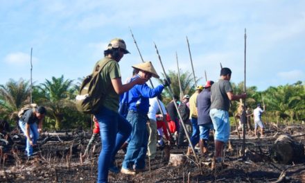 Mengapa Tradisi Manugal Dayak Masih Dilestarikan? Ini Maknanya