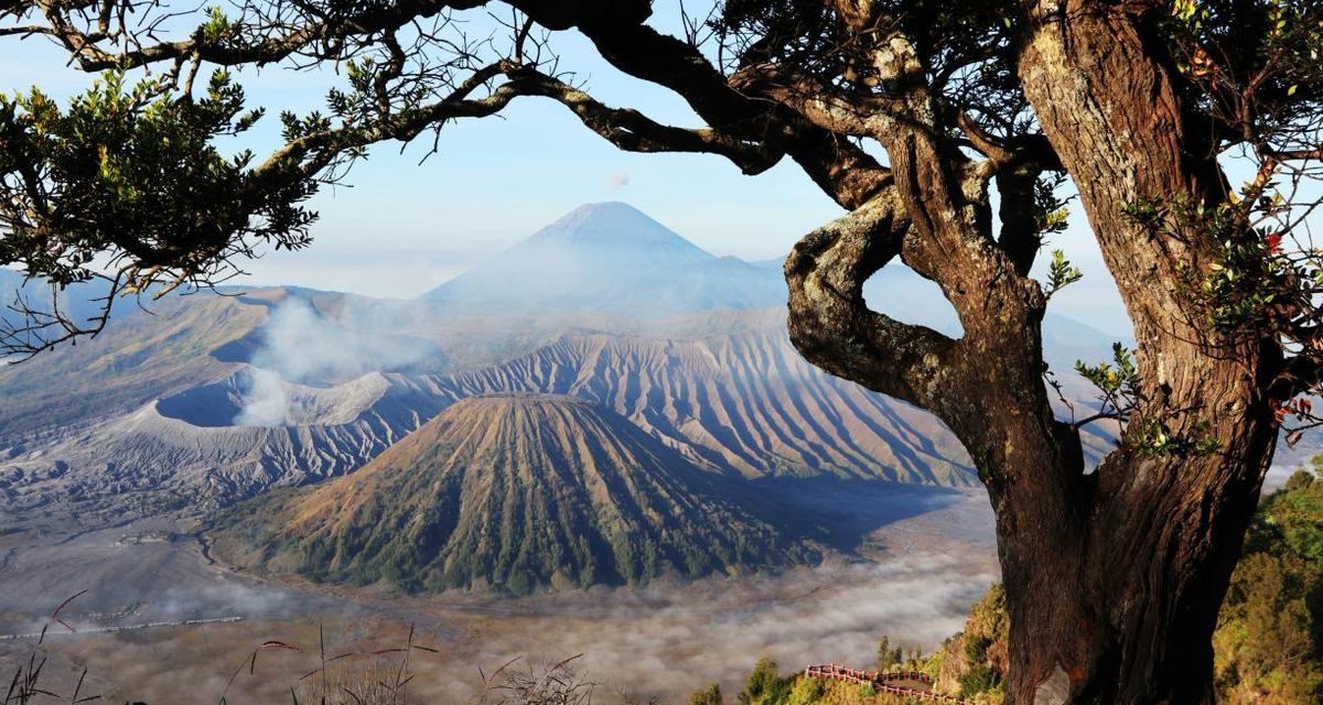Gunung Bromo Kembali Dibuka untuk Wisatawan Usai Kebakaran, Kuota Dibatasi 2.752 Orang