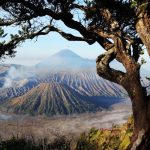 Gunung Bromo Kembali Dibuka untuk Wisatawan Usai Kebakaran, Kuota Dibatasi 2.752 Orang