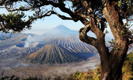 Gunung Bromo Kembali Dibuka untuk Wisatawan Usai Kebakaran, Kuota Dibatasi 2.752 Orang