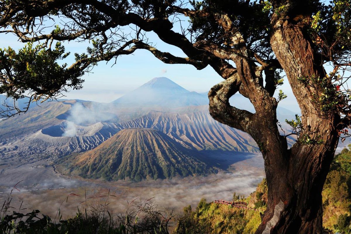 Gunung Bromo kembali dibuka